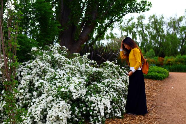 Floriade, 花都开好了