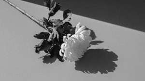 何迪(痛心同济大学女博士因病离世，年仅30岁，生前自述令人泪目……)