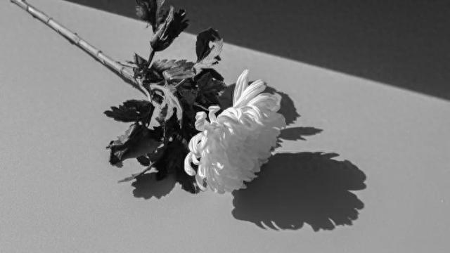 痛心!同济大学女博士因病离世,年仅30岁,生前自述令人泪目……