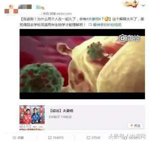 什么叫做夫妻相(为啥会有“夫妻相”？真的是接吻造成的？科学的解释来了)