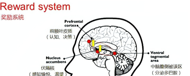 为什么黄色网站可以让你免费看?知道真相后,你还敢继续浏览吗?