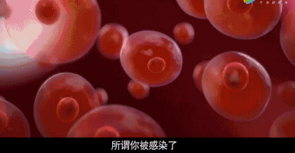 为啥会有“夫妻相”？真的是接吻造成的？科学的解释来了