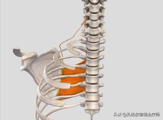 前胸贴后背的疼痛，不一定是心绞痛，建议收藏