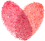 国内最大色情直播平台被“一锅端”！会员竟达350万 涉案资金2.5亿！