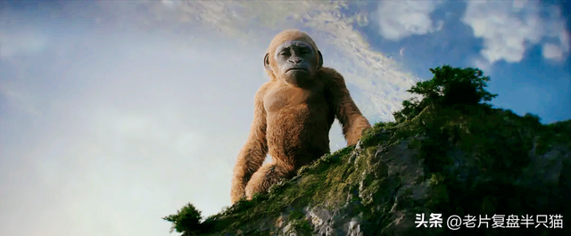 爽片《哥斯拉大战金刚2》19大怪兽盘点，喜欢吃哪个？