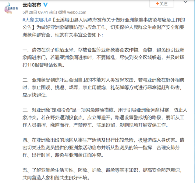 15头大象进村，村民楼顶彻夜未眠 专家解读：既有北迁又有南渡，这是人象冲突的写照