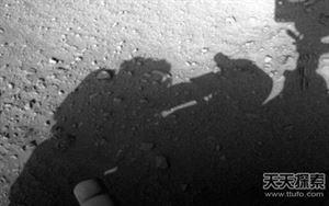 世界25大悬谜：沙滩现数十亿不明生物