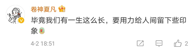 好听！这些歌，就是踏青路上的听觉盛宴