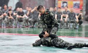 什么是格斗(格斗高手速成手册，你值得拥有)