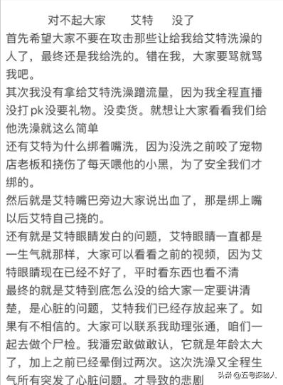 后续！潘宏网红狗艾特洗澡死亡：直播回放流出，拼命挣扎被无视