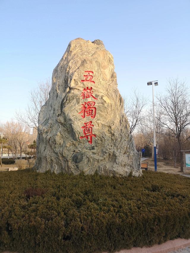 记住：站在风口上，猪都能起飞—2025！