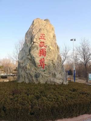 风口的猪(记住：站在风口上，猪都能起飞—2025)