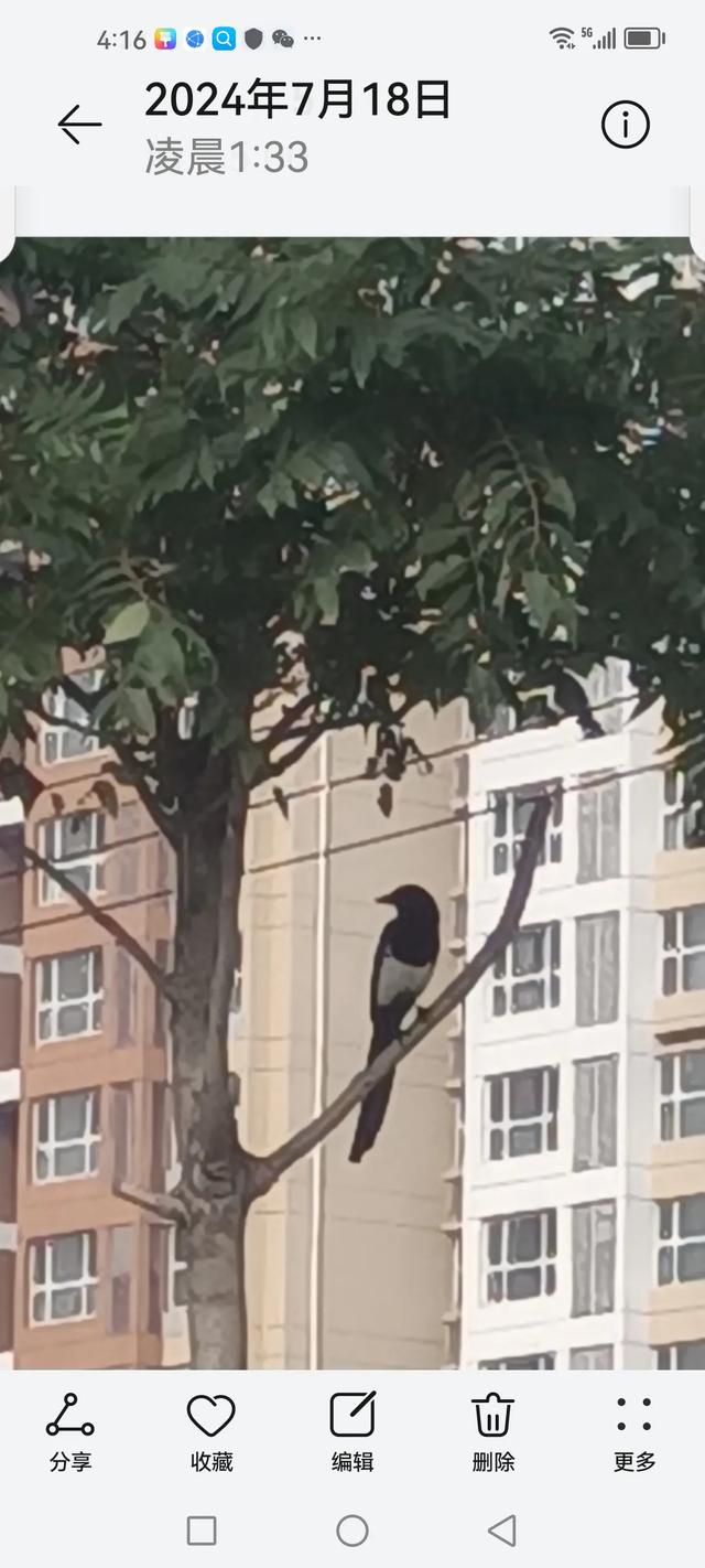 女人缘＿原创小说 [微风][送自己一朵花