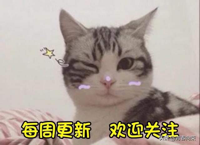 老司机影院:豆瓣均9分!那些敢于跨越禁区的青春系美剧