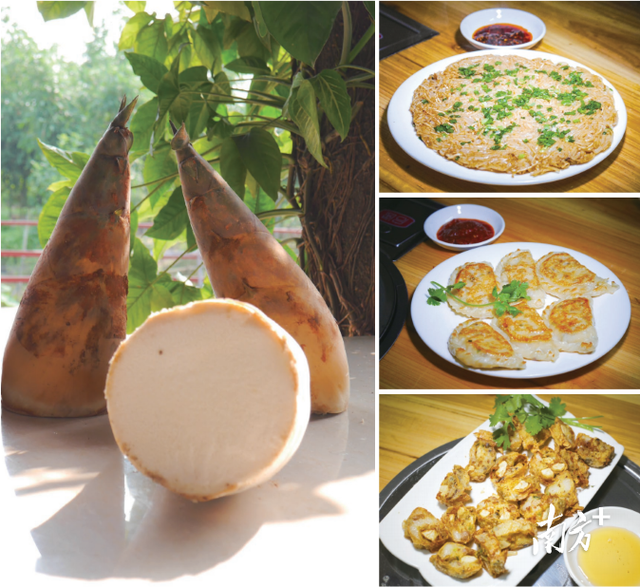 “揭”开序章 ，紫气“东”来｜一切“揭”好