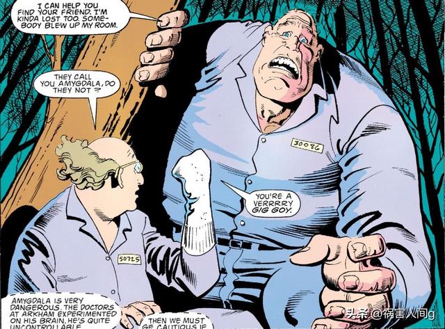 蝙蝠侠的冷门反派阿米戈德拉