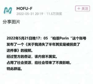 全都是泡沫(虚拟主播，全都是泡沫)