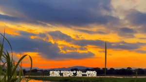 《乐游原》(李商隐经典诗作《乐游原》)