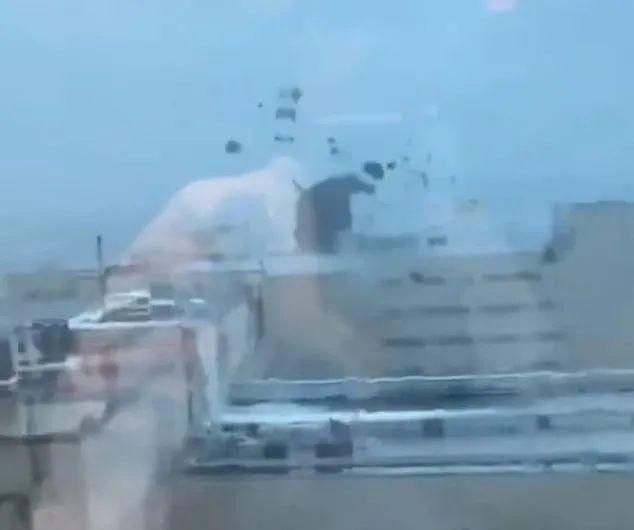 “撤离！”16年后，噩梦再上演......