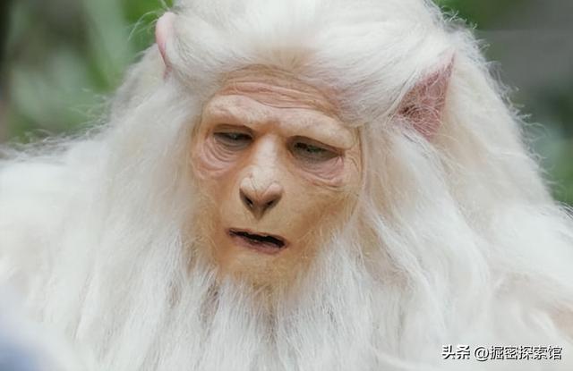 你知道金庸剧中的灵兽谁最强吗？雌雄白雕排在第五，神雕屈居第二