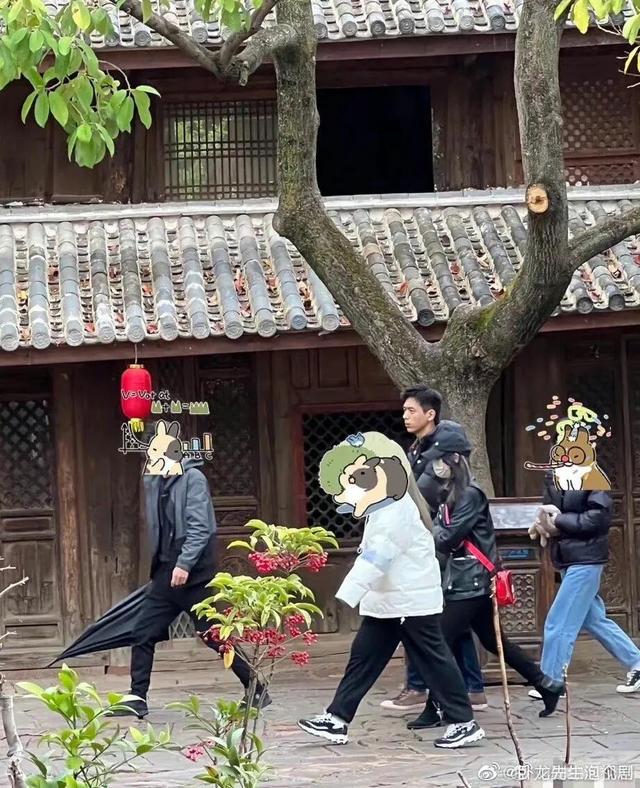 4.11剧讯：张翰 辣目洋子 秦昊 邓为 檀健次 任嘉伦 杨洋 关晓彤 张国立