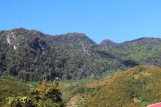 15头大象进村，村民楼顶彻夜未眠 专家解读：既有北迁又有南渡，这是人象冲突的写照
