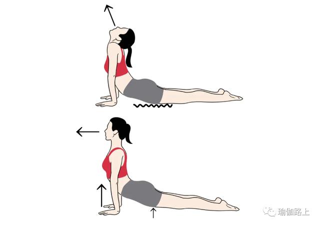瑜伽「上犬式 」最容易犯的 6 个错误，尤其要注意！