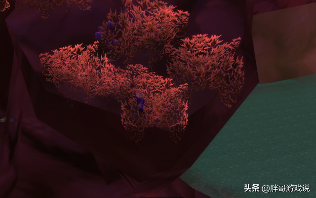 魔兽TBC:幽暗沼泽直接尾王新方法,小德傍身技,卖CD一天上千金