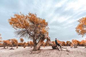 穿梭千年的爱恋(《穿越千年的爱恋》)