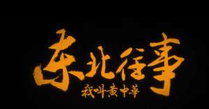 毛琴(毛琴、陈卫东、李老棍子，三位配角撑起《东北往事我叫黄中华》)