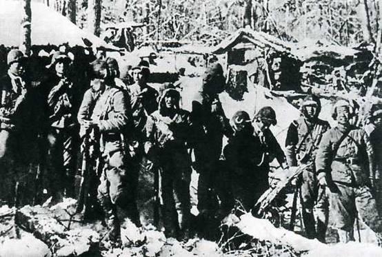 1951年春，一名解放军举报另一名解放军：他谋害了杨靖宇