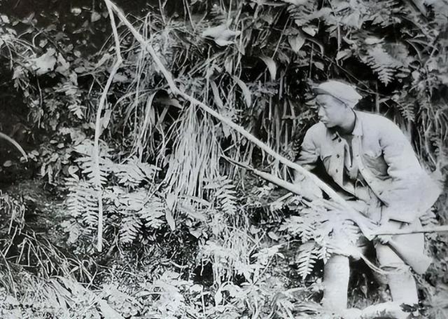 湘西剿匪牺牲多少解放军？超3000人长眠于此