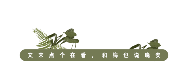 《被嫌弃的松子的一生》：女人该如何活好这一生？