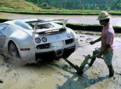 女神和女神经区别在什么地方?