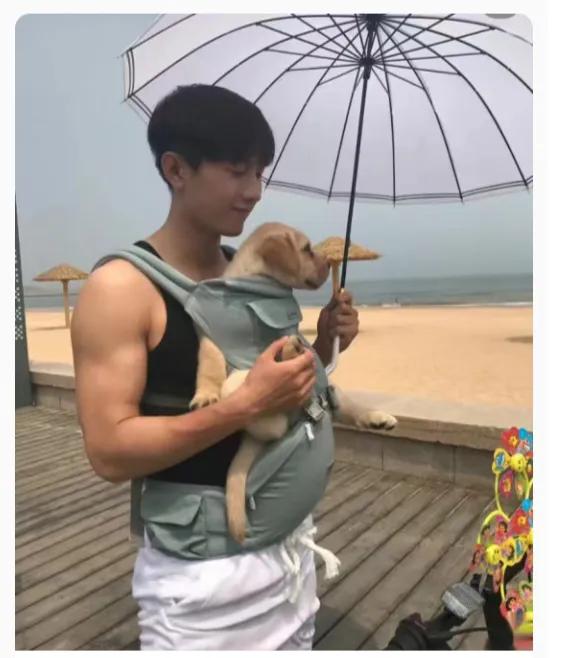 惊！看成毅如何从籍籍无名走向光芒万丈