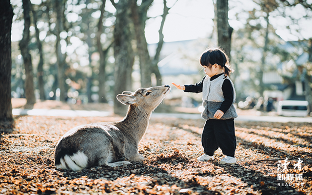 董洁因儿子进入青春期迷茫：应对青春期，父母需要打开孩子的这3扇门