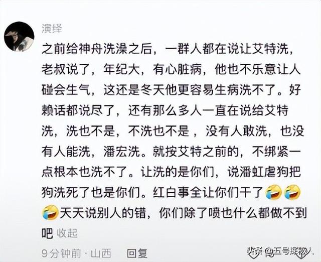 后续！潘宏网红狗艾特洗澡死亡：直播回放流出，拼命挣扎被无视