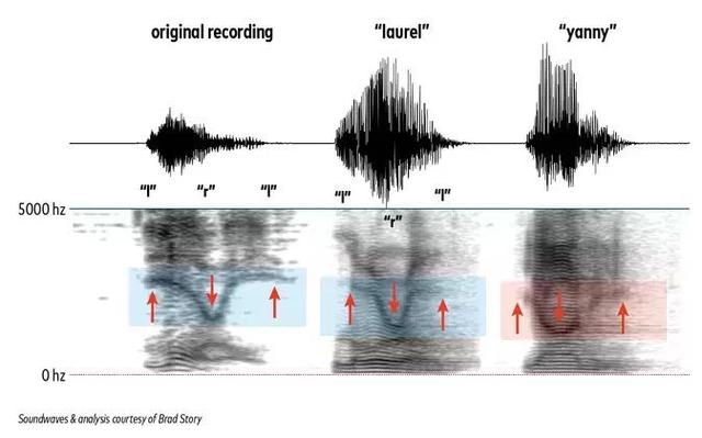 Yanny还是Laurel?一个单词判断你是否年轻,这两天大家吵翻了……