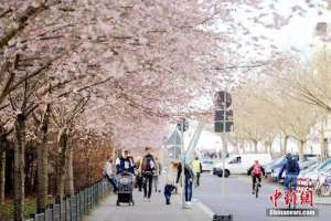 门庭(记者亲历德国柏林“封城”首日：主要景点门庭冷落，民众鲜少戴口罩)