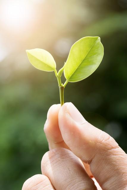 50岁后才明白：人生最大的悲哀，不是没钱，而是…