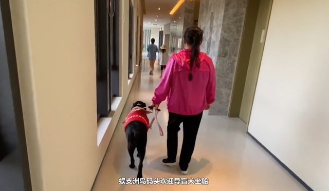 每一个努力生活的你，新年快乐！