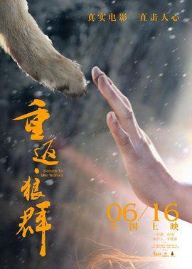 重返狼群（纪录片）