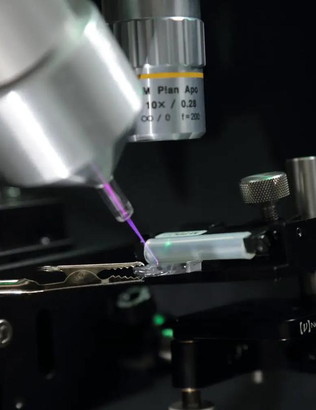 急冻人的冷冻枪有望成为现实，科学家展示“冷冻射线”技术