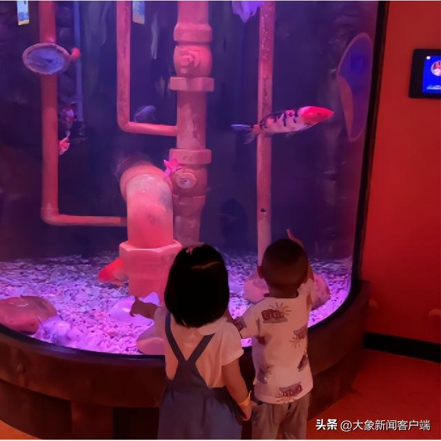 重庆姐弟坠楼案生母决定带货：不希望博取同情曾回绝品牌方