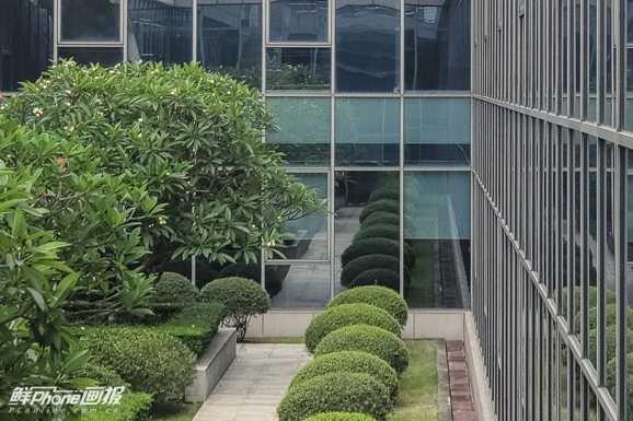 大集结!上半年黑科技手机都在这,心动了吗?