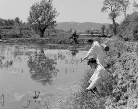 世界防治疟疾日丨中国向疟疾说“不”