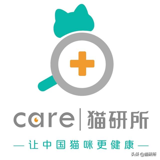 猫咪的指甲为什么会脱落?这7个冰岛级的冷知识你都知道吗?