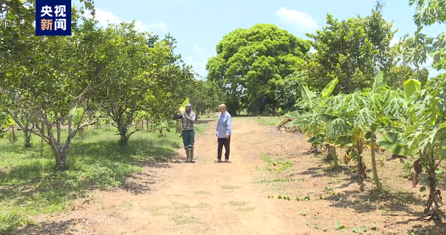探秘苏里南丨30秒感受这个南美国家的不一般