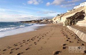 世界25大悬谜：沙滩现数十亿不明生物