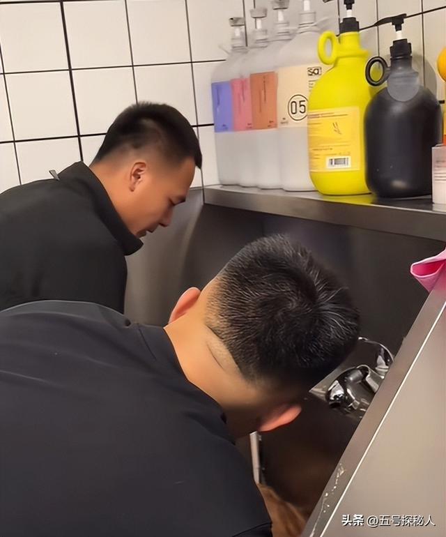 后续！潘宏网红狗艾特洗澡死亡：直播回放流出，拼命挣扎被无视